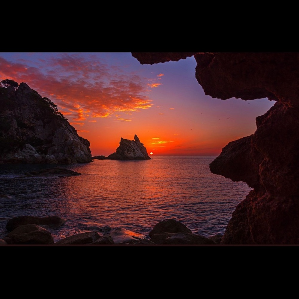 Meet your Posher, Benjie.